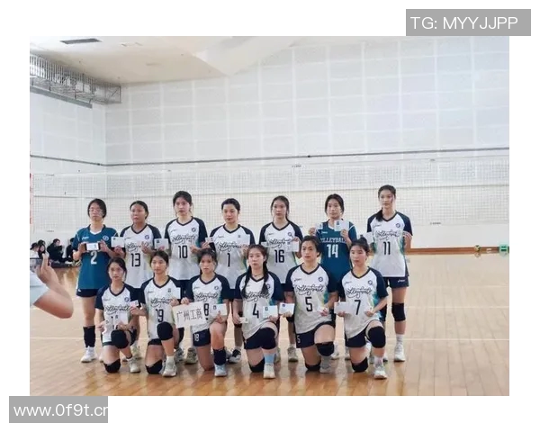 排球心理素质评比揭晓广州排球队荣登第九名引关注 排球心理素质评比揭晓广州排球队荣登第九名引关注